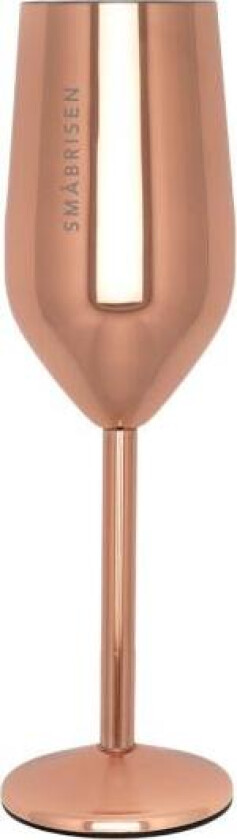 - Champagneglass stål SMÅBRISEN 23 cl roségull