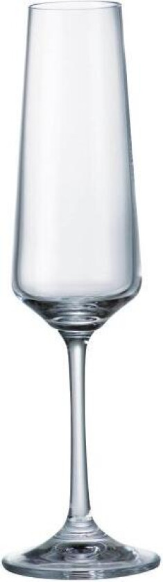 - Corvus champagneglass 16 cl