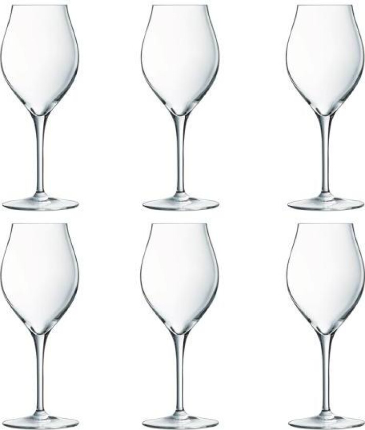 - Exaltation hvitvinsglass 38 cl 6 stk