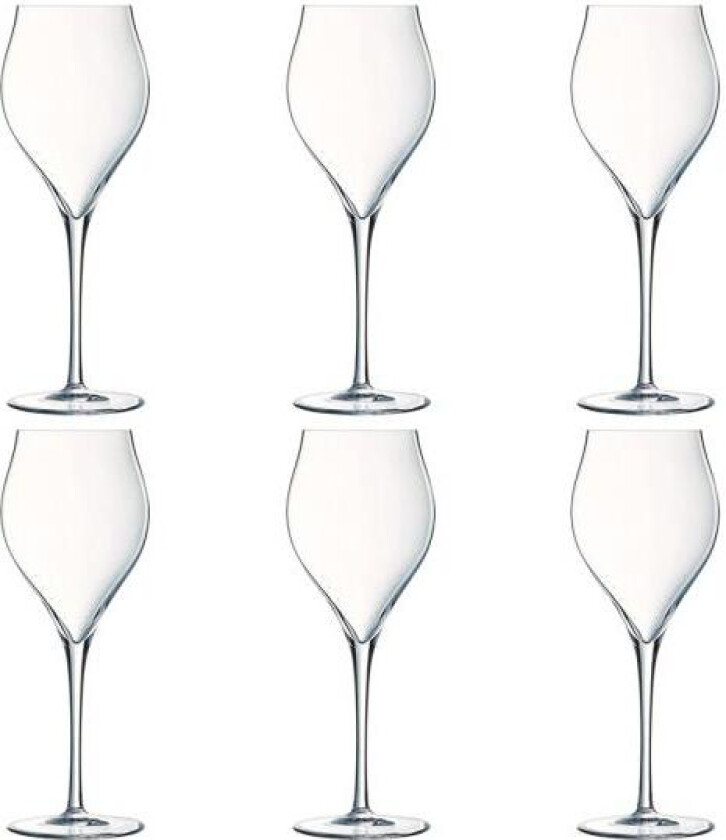 - Exaltation champagneglass 30 cl 6 stk