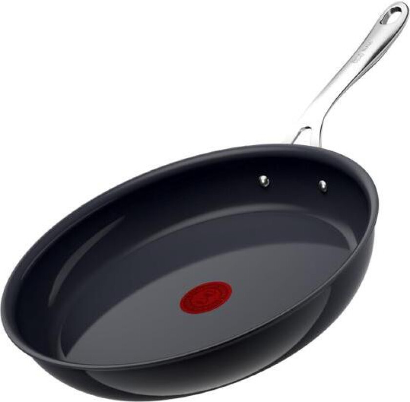 - Tefal Enjoy stekepanne 30 cm
