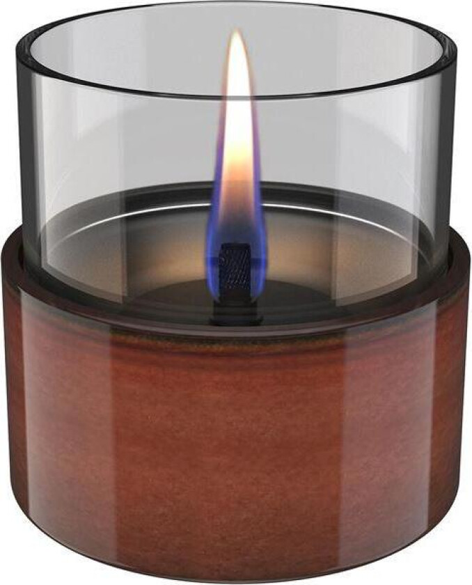 - Aster lys 10 0,15L amber