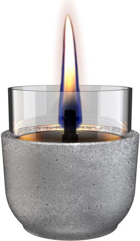 - Violet lys 8 0,15L