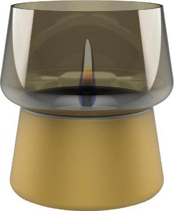 - Amaryllis lys 14 cm gull/champagne