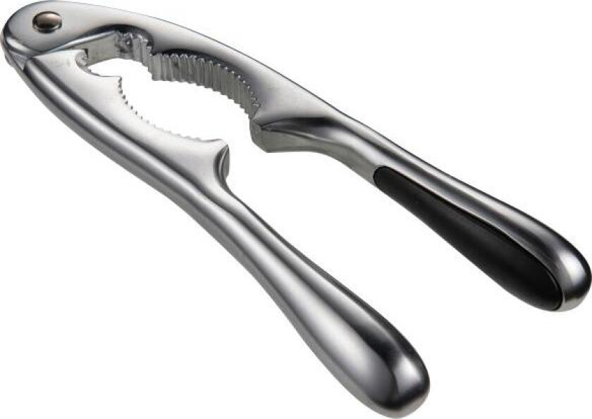 - Basis nøtteknekker