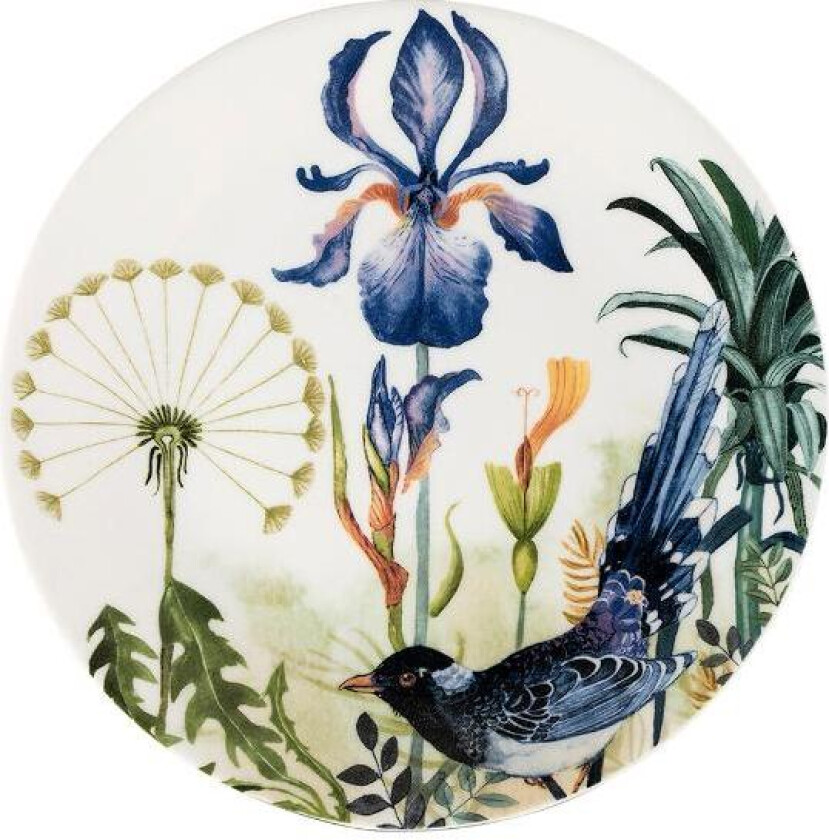 - Florytale frokosttallerken 21 cm blue bird
