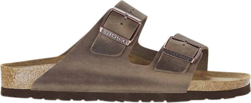 Arizona Oiled Leather Regular Unisex Tabacco Brown 40