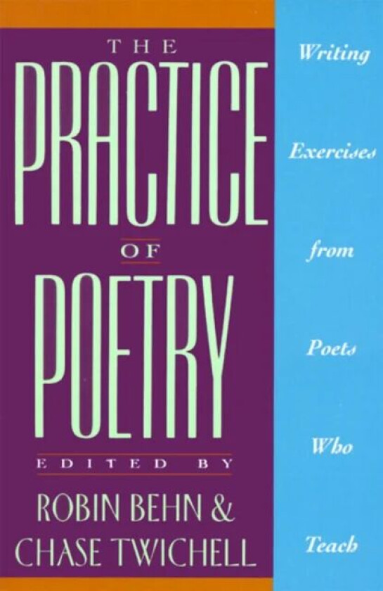 The Practice of Poetry av Robin Behn