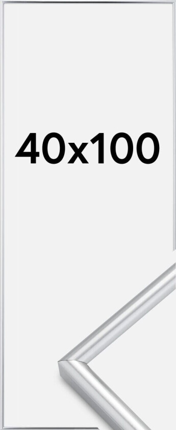 Ramme Galeria Sølv 40x100 Cm