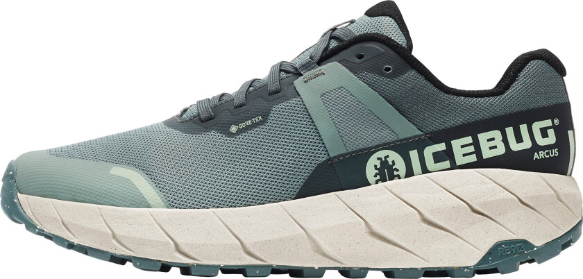 Men's Arcus RB9X Gore-Tex 44, Green/Stone