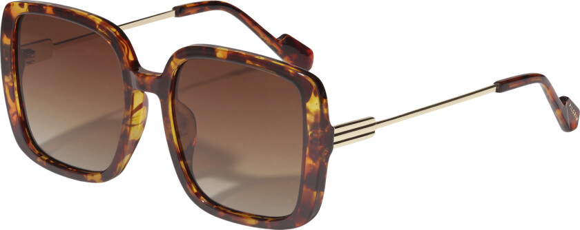 Aliet Sunglasses Tortoise Brown/gold - Solbriller Glass