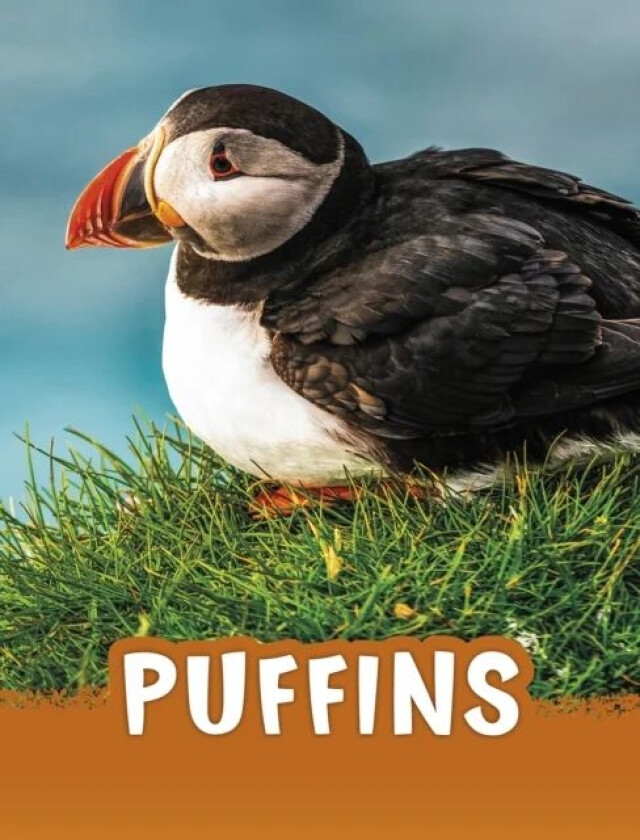 Puffins av Jaclyn Jaycox