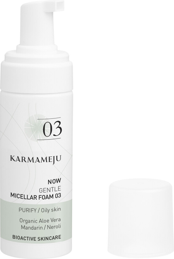 NOW Micellar Foam 03 - Micellar