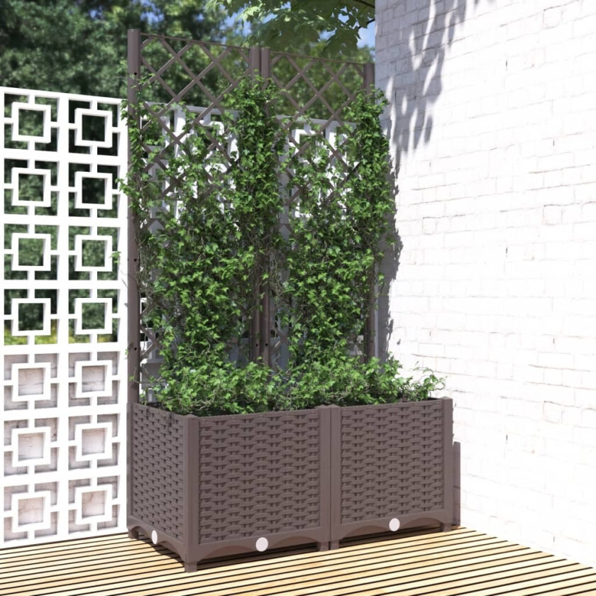 Plantekasse med espalier brun 80x40x136 cm PP