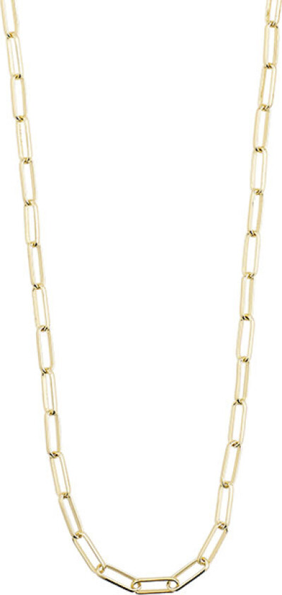 Halskæde, Ronja, Guldbelagt - Halskjeder Uten Anheng