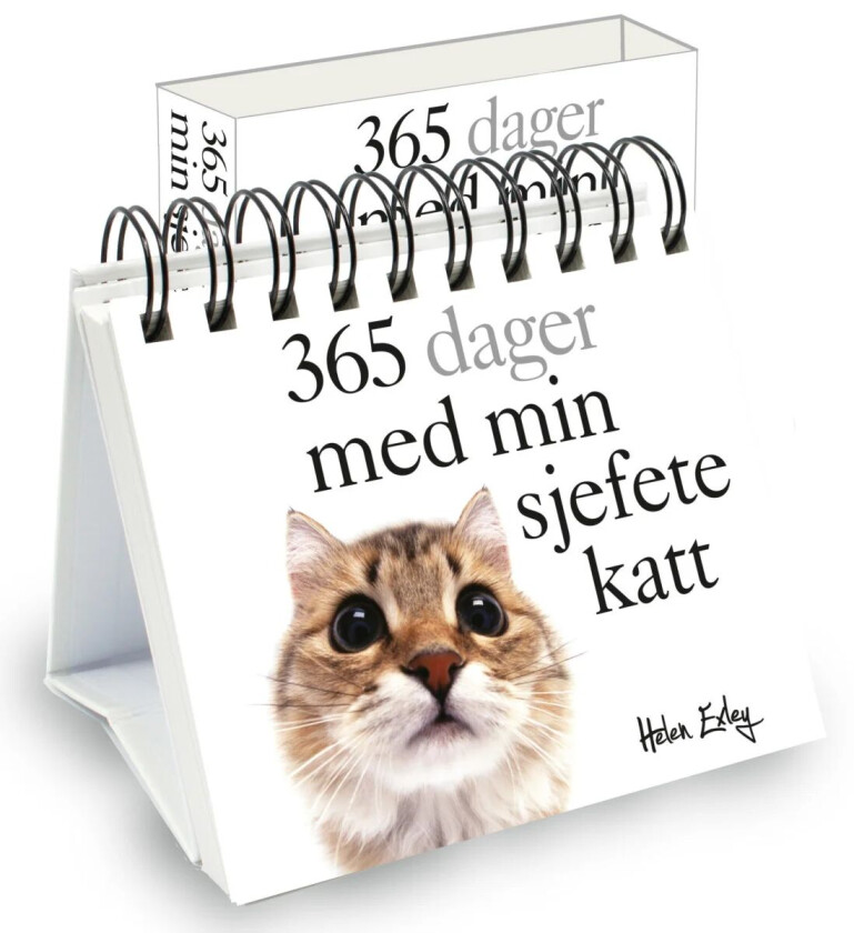 365 dager med min sjefete katt av Pam Brown