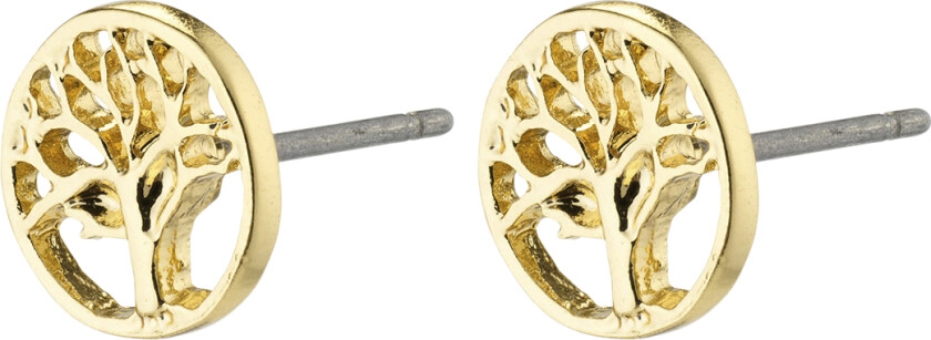 Iben Recycled Treeof-lifeØrestikker Gold-plated - Øredobber Tre