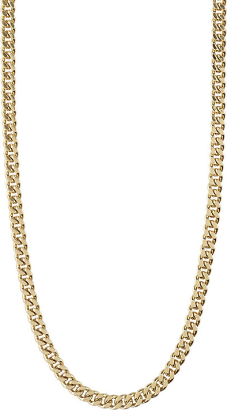 Halskæde, Fuchsia, Guldbelagt - Halskjeder Uten Anheng