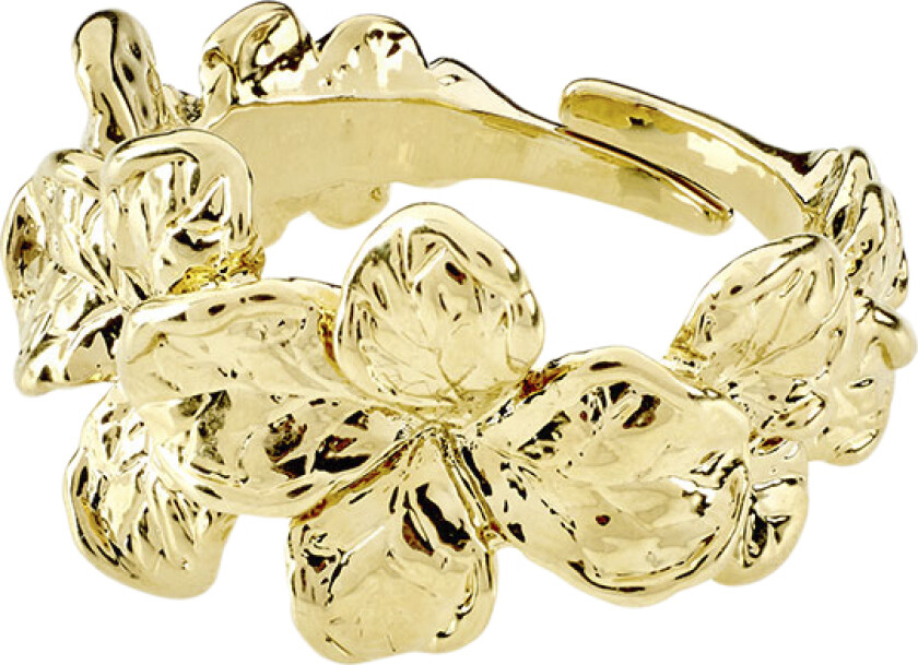 Echo Recycled Ring Goldplated - Ringer