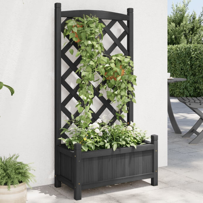 Plantekasse med espalier svart heltre gran