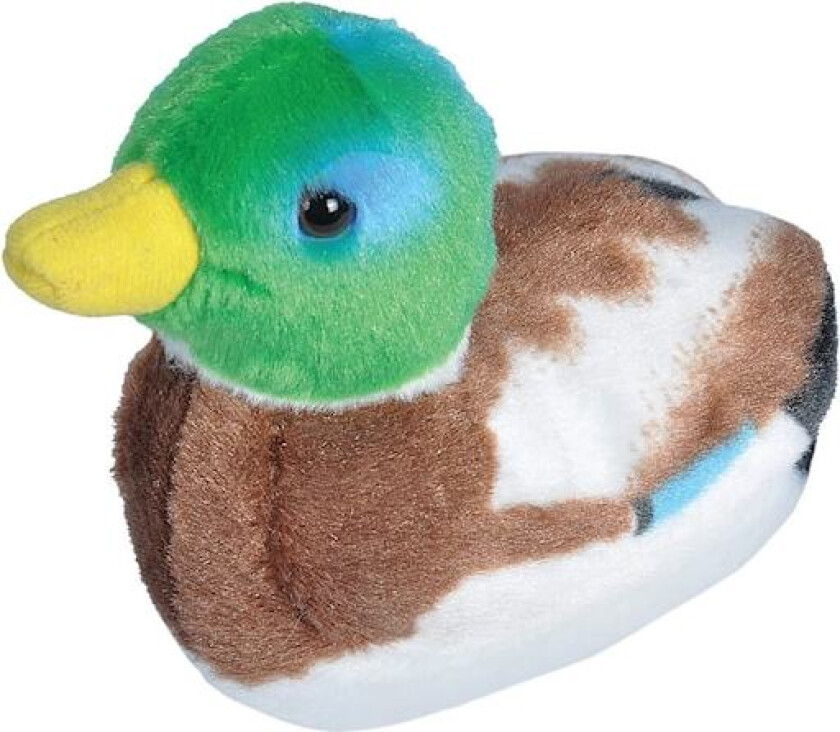 And med Lyd Wild Republic