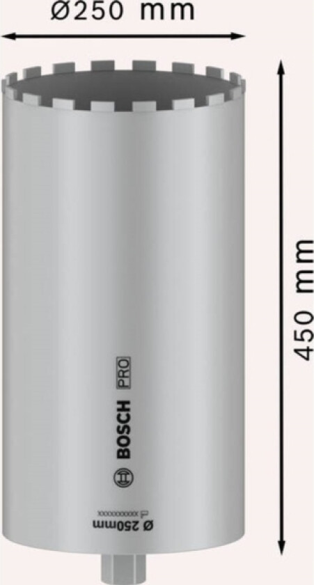 Professional 2608601801 2608601801 Stiksav 250 Mm 1 Stk