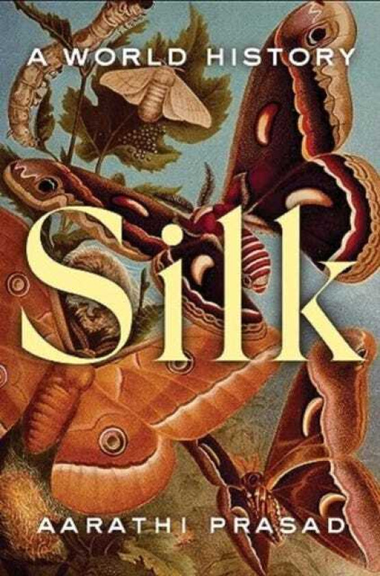 Silk A World History