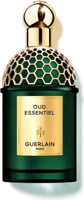Oud Essentiel Edp 125Ml