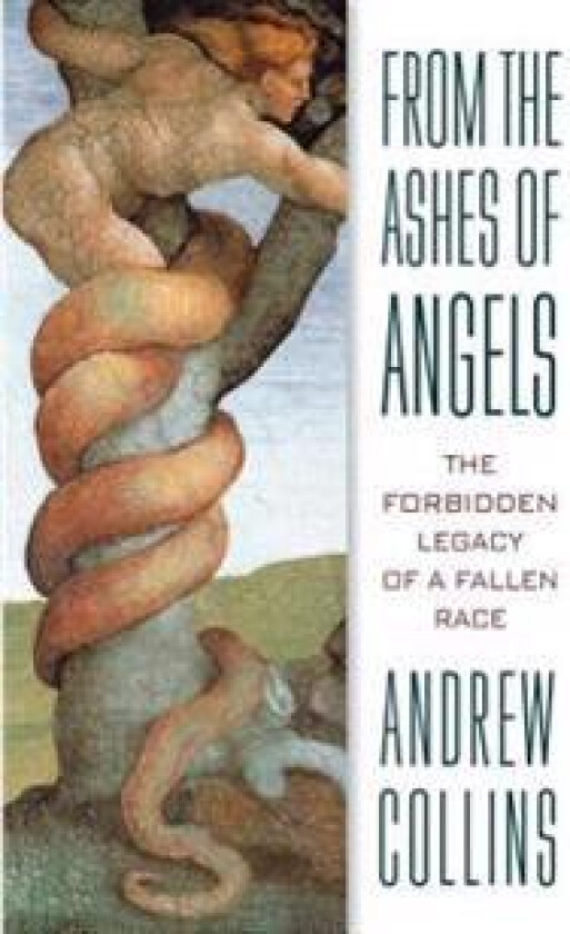 From the Ashes of Angels: The Forbidden Legacy of a Fallen Race