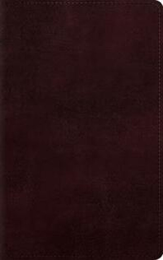 ESV Large Print Personal Size Bible