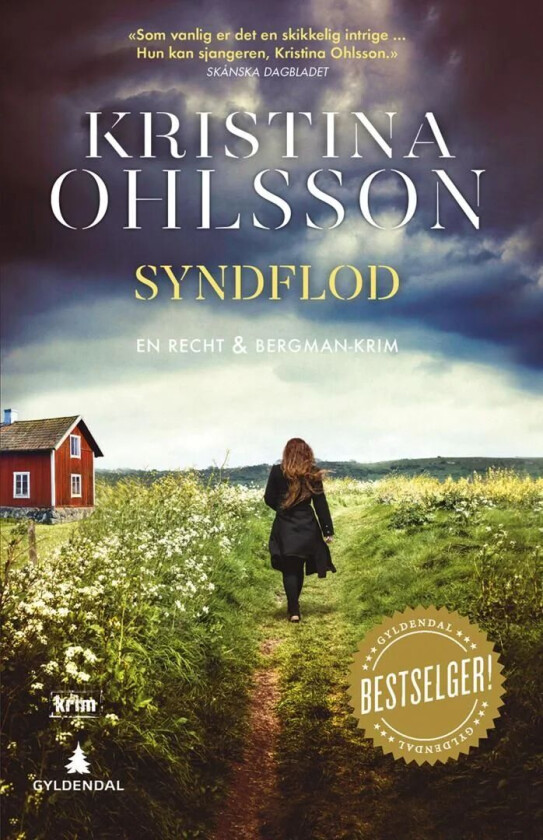 Syndflod av Kristina Ohlsson