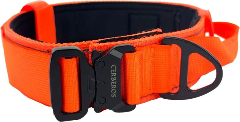 Hundehalsbånd Oransje (L)