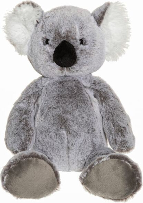 Teddy Wild Koala Melered Teddy Company