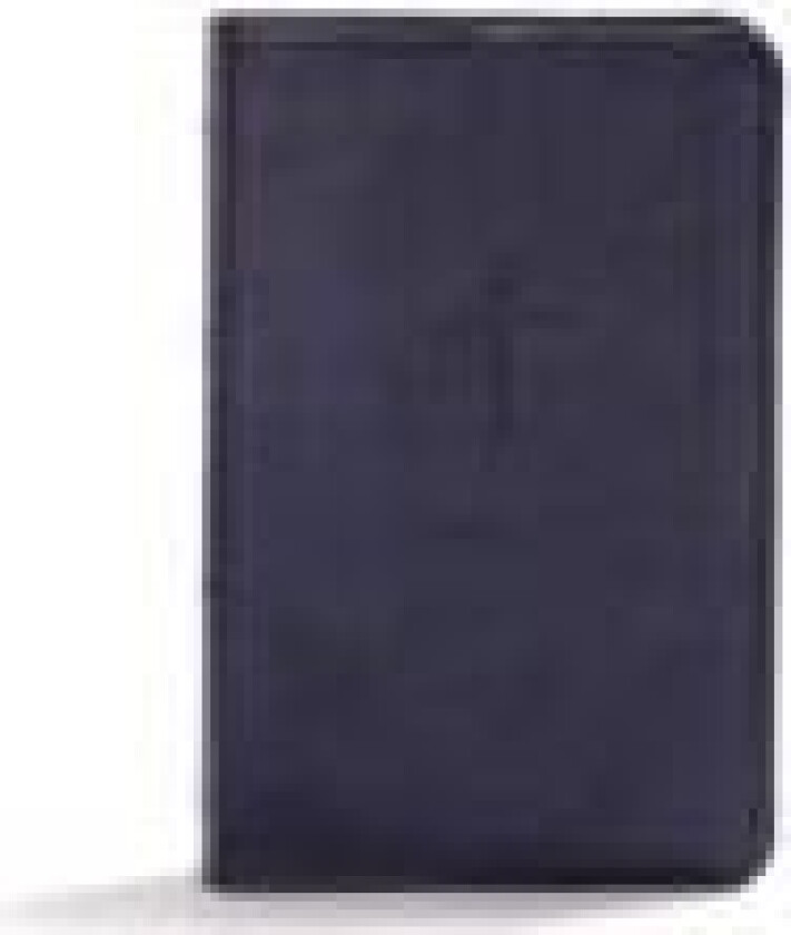 KJV Compact Bible, Navy LeatherTouch, Value Edition