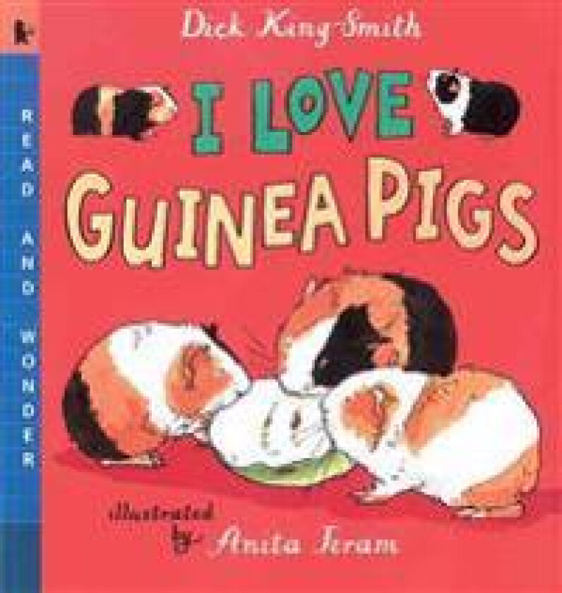 I Love Guinea Pigs: Read and Wonder