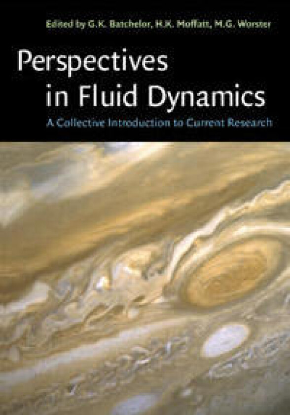 Perspectives in Fluid Dynamics