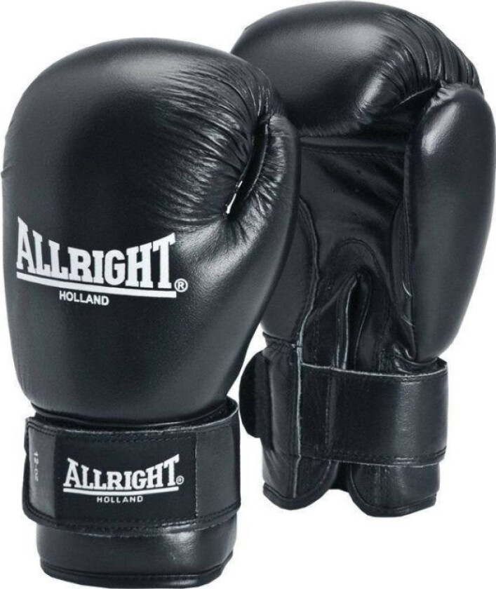 Top Professional Boxing Gloves