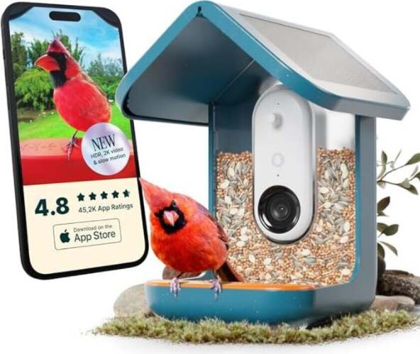 Smart Bird Feeder 2.0 Blue with Solar Panel