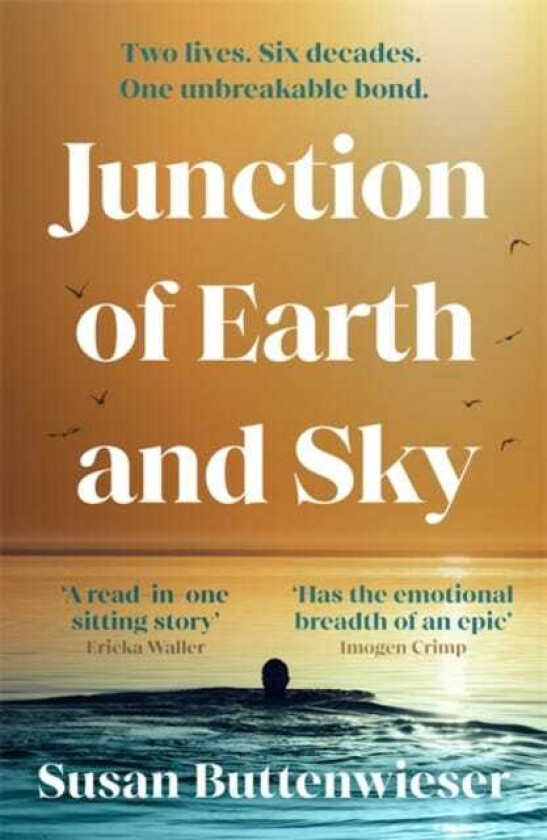Junction of Earth and Sky A heartbreaking, lyrical novel about the enduring power of love