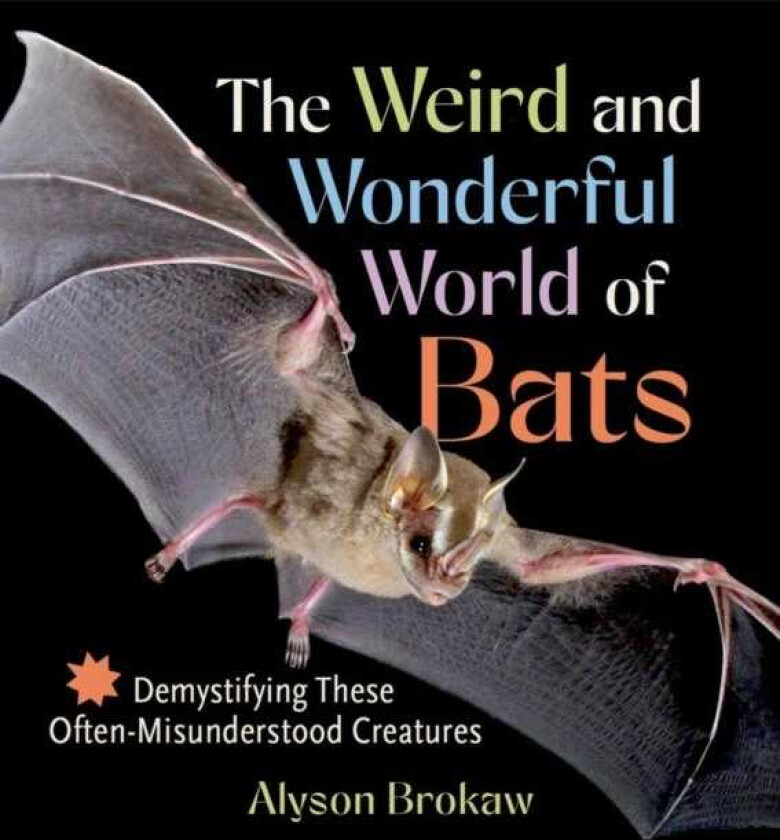 The Weird and Wonderful World of Bats Demystifying These OftenMisunderstood Creatures