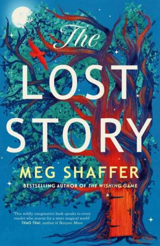 The Lost Story The gorgeous, heartwarming grownup fairytale by the beloved author of The Wishing Game
