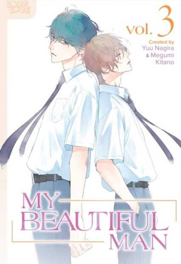 My Beautiful Man, Volume 3 (Manga)