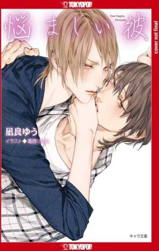 My Troublesome Mann, Volume 3 (Light Novel)