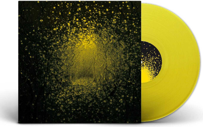 The Antlers Burst Apart LP/Vinyl