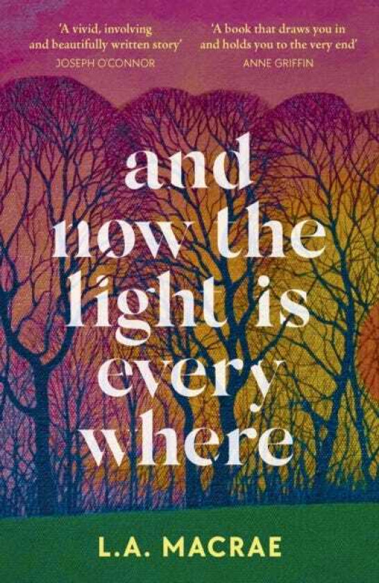 And Now the Light is Everywhere  A stunning debut novel of family secrets and redemption