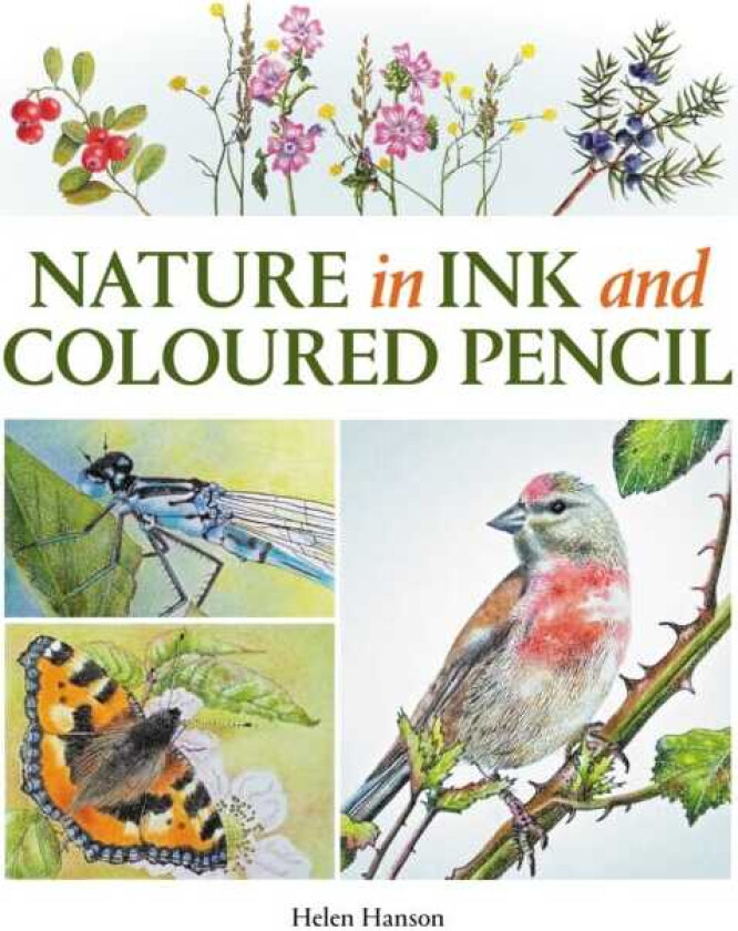 Nature in Ink and Coloured Pencil