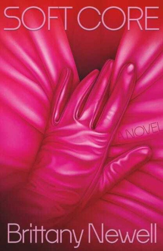Soft Core A Novel