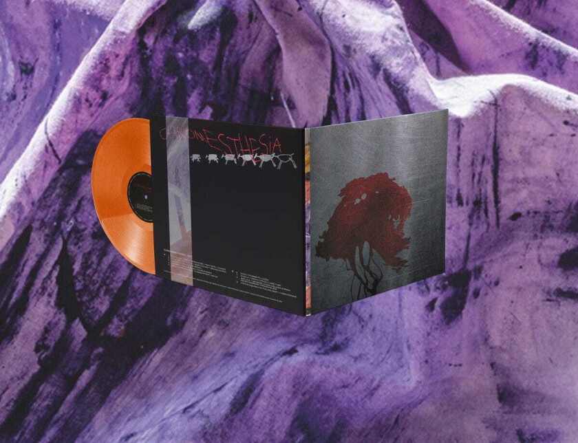 Diverse Electronica Chromesthesia: the Colour of Sound Vol. 1 LP/Vinyl