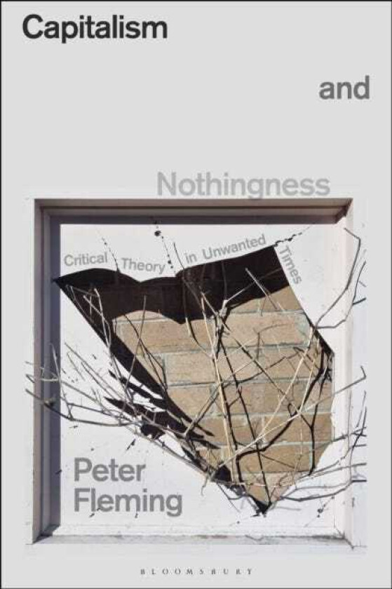 Capitalism and Nothingness Critical Theory in Unwanted Times