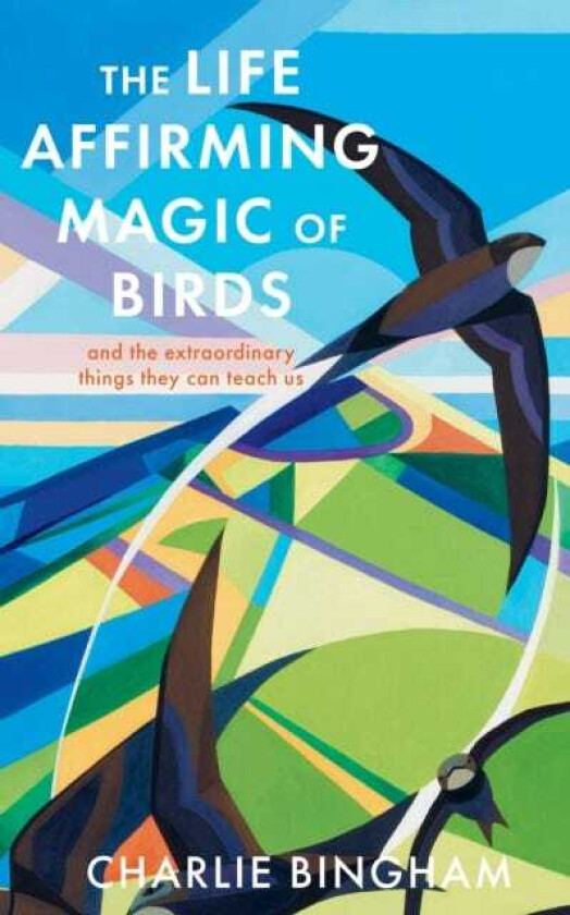 The Life Affirming Magic of Birds and the extraordinary things they can teach us